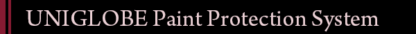 UNIGLOBE Paint Protection System